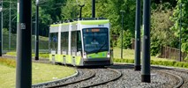 Olsztyn zleca zadrzewianie miasta za wycinki pod budowę tramwajów