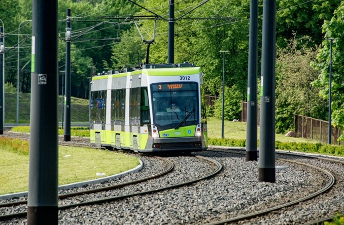 Olsztyn zleca zadrzewianie miasta za wycinki pod budowę tramwajów