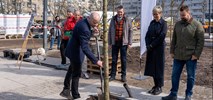 Wrocław zapowiada kolejnych 15 wielkich zielonych inwestycji 