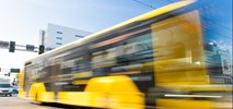Więcej autobusów wróci na chorzowski rynek