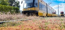 Tramwaje Warszawskie: rekordowy rok remontów, nowych tras i zielonych torów