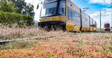 Tramwaje Warszawskie: rekordowy rok remontów, nowych tras i zielonych torów