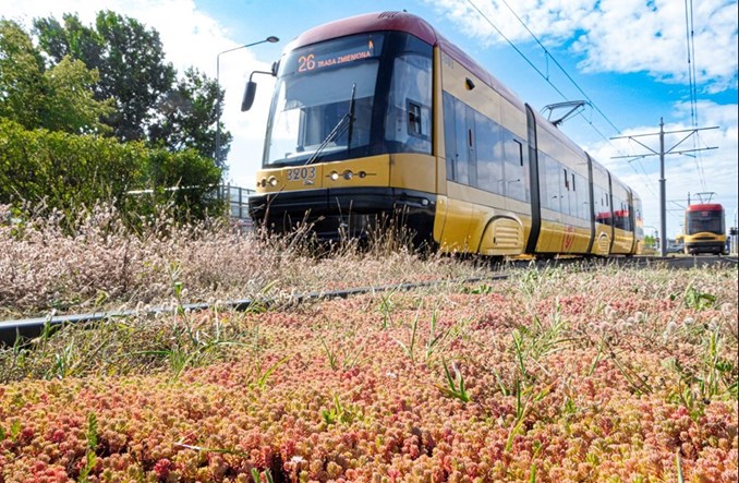 Tramwaje Warszawskie: rekordowy rok remontów, nowych tras i zielonych torów