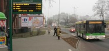 Zielona Góra. MZK chce wynająć pięć autobusów