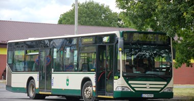 Chełm z planem transportowym: Co roku 7 nowych autobusów