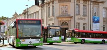 Lublin wydzierżawi 25 autobusów