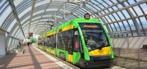 Solaris Tram ze zmianami w zarządzie, adresie i udziałach