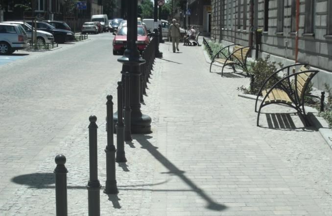 Łódź: Zmiany w programie Zielone Polesie