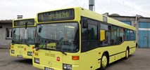 Gniezno. MAN i Solaris ostro walczą o dostawę 12 autobusów