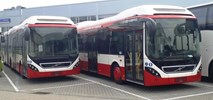 Sosnowiec: Za transport wysokiej jakości warto płacić wyższą składkę