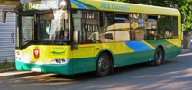 MZK Ostrołęka chce wyleasingować autobusy konwencjonalne