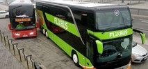 FlixBus przerabia PolskiegoBusa na zielono. „To nie jest przejęcie”