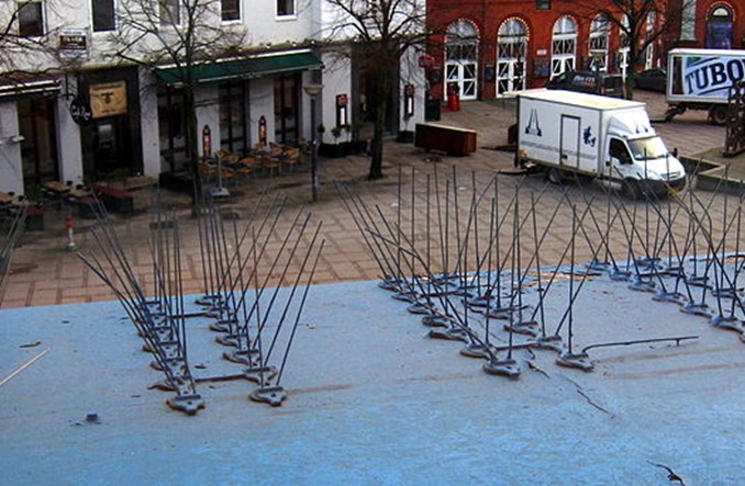 Kolcami w ptaki dla dobra… samochodów