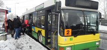 Bezpłatna komunikacja w Bełchatowie przyciąga pasażerów
