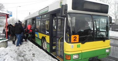 Bezpłatna komunikacja w Bełchatowie przyciąga pasażerów