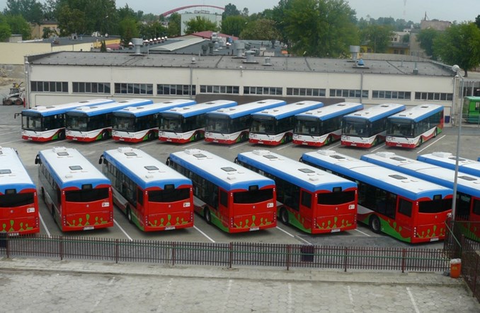 Puławy z autobusami mini od Solarisa?