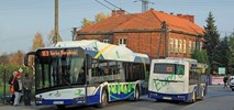 Kraków. ZIKiT też chce pomóc w walce ze smogiem