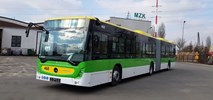 Osiem nowych autobusów w Zielonej Górze