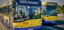 Tarnów wybiera Solarisa. Będą pierwsze autobusy elektryczne