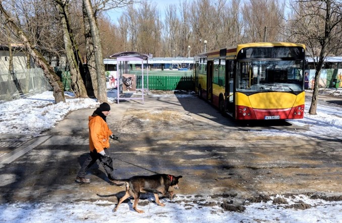 Warszawa: Stary autobus MZA w służbie bezpańskich psów