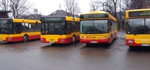 Olkusz. Solaris wygrywa z Autosanem jakością