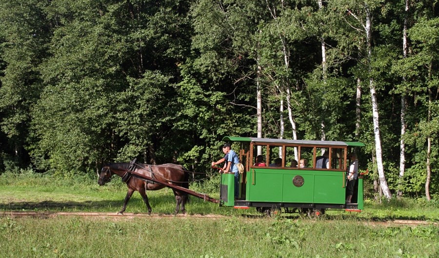 Mrozy: Rusza jedyny tramwaj konny w kraju Mrozy: Rusza jedyny tramwaj konny w kraju