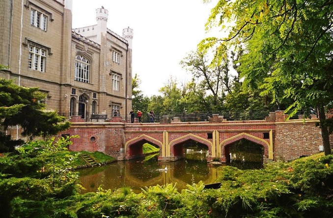 Kórnik kupuje dwa autobusy z miejscami dla psów