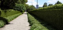 Nowatorska zielona Wawelska z dwumetrowym żywopłotem [wizualizacje]