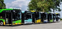 Szczecin, Gdynia i Polkowice z dotacjami na ekologiczne autobusy. Co z Poznaniem?