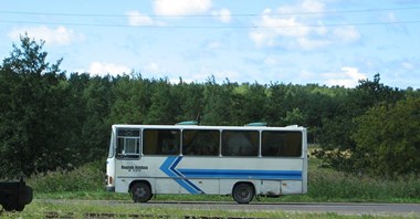 Estonia. Od lipca darmowa komunikacja w całym kraju