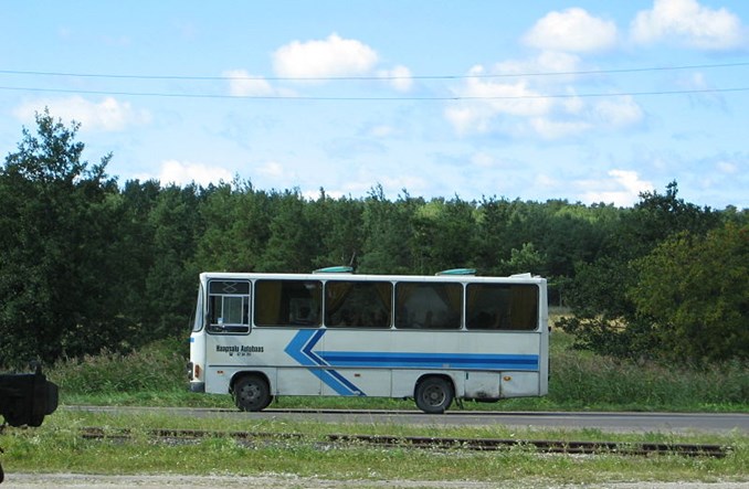 Estonia. Od lipca darmowa komunikacja w całym kraju