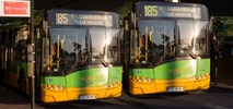 Poznań. ZTM udostępnia dane lokalizacji autobusów i tramwajów