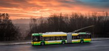 Rumunia. Solaris z kontraktem na 50 trolejbusów