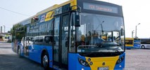Tureckie autobusy już w Skierniewicach