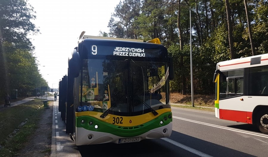 Zielona Góra. Wciąż brak czterech ursusów City Smile Zielona Góra. Wciąż brak czterech ursusów City Smile