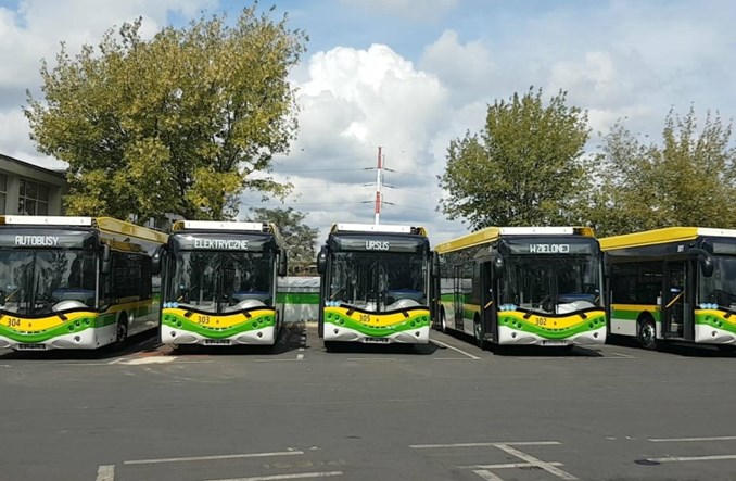 Polski elektrobus tylko Ursus Busa! Autosan i Politechnika Śl. odrzucone