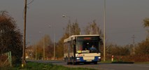 Tarnobrzeg szuka przewoźnika na 2 lata. Po raz ostatni?