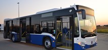 Mercedes Benz Citaro hybrid z tytułem „Bus of the Year 2019”