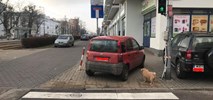 Warszawa. Czego nie widać z limuzyny?