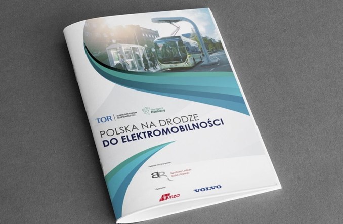 Polska zmierza ku elektromobilności. Co nas czeka na drogach? (Raport)
