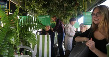 Górny Śląsk. Dżungla w tramwaju