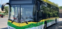 MZK Zielona Góra kupuje elektryczne minibusy