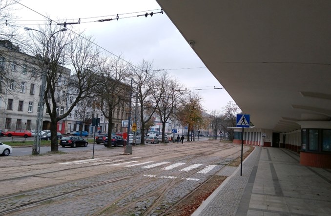 Łódź: Zebra na Północnej – czy był sens jej malowania?