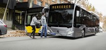 Mercedes nie przejedzie pieszego, choć koty muszą uważać