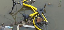 Chiński gigant rowerowy Ofo na krawędzi bankructwa