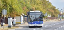 Całoroczny autobus połączy Nową Wieś Wielką z Bydgoszczą