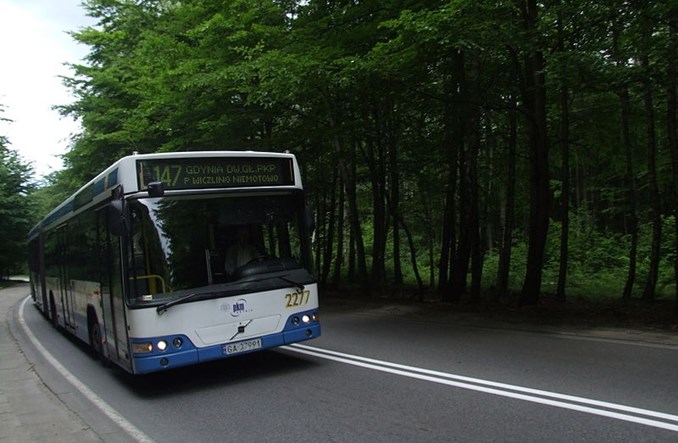 Gdynia stworzy kontrapas… dla autobusów