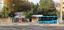Jonkowo pod Olsztynem kupuje karsany