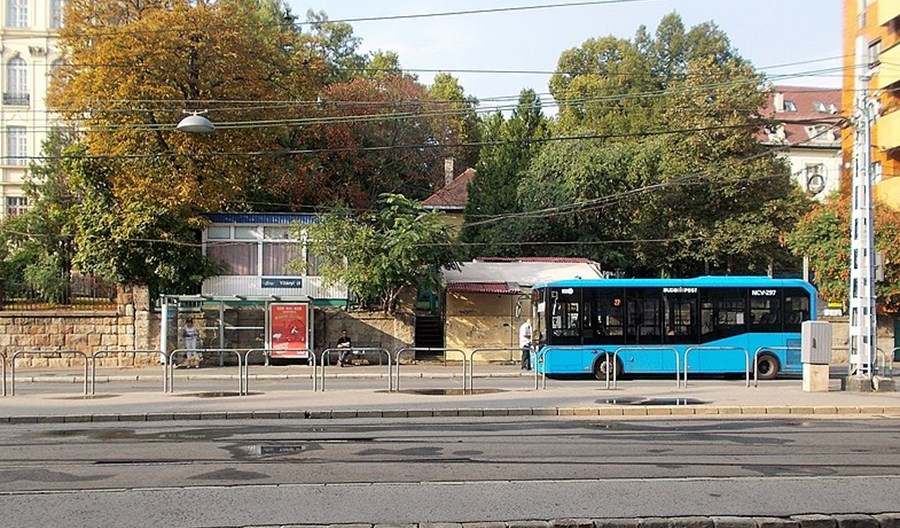 Jonkowo pod Olsztynem kupuje karsany Jonkowo pod Olsztynem kupuje karsany