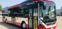 Leszno z kompletem autobusów hybrydowych Volvo